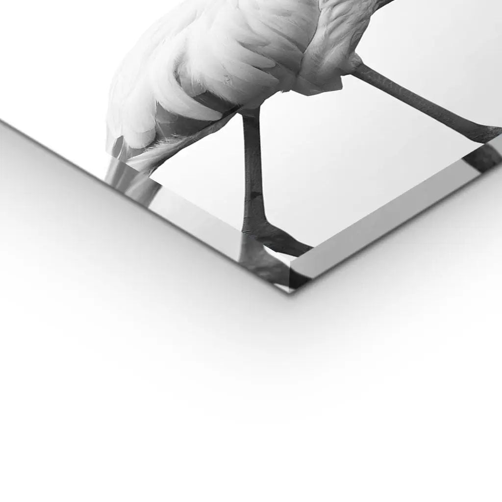 "GRACEFUL SILHOUETTE"