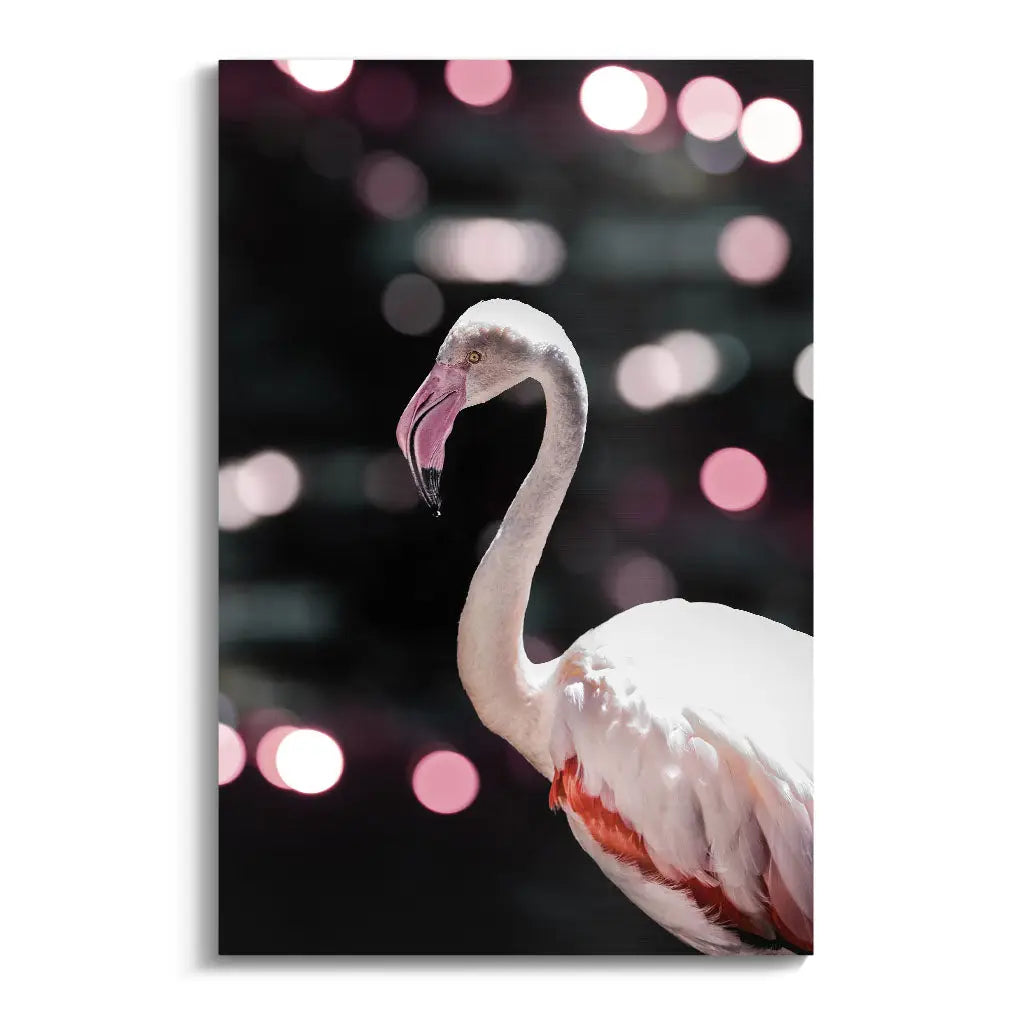 "FLAMINGO ELEGANCE"