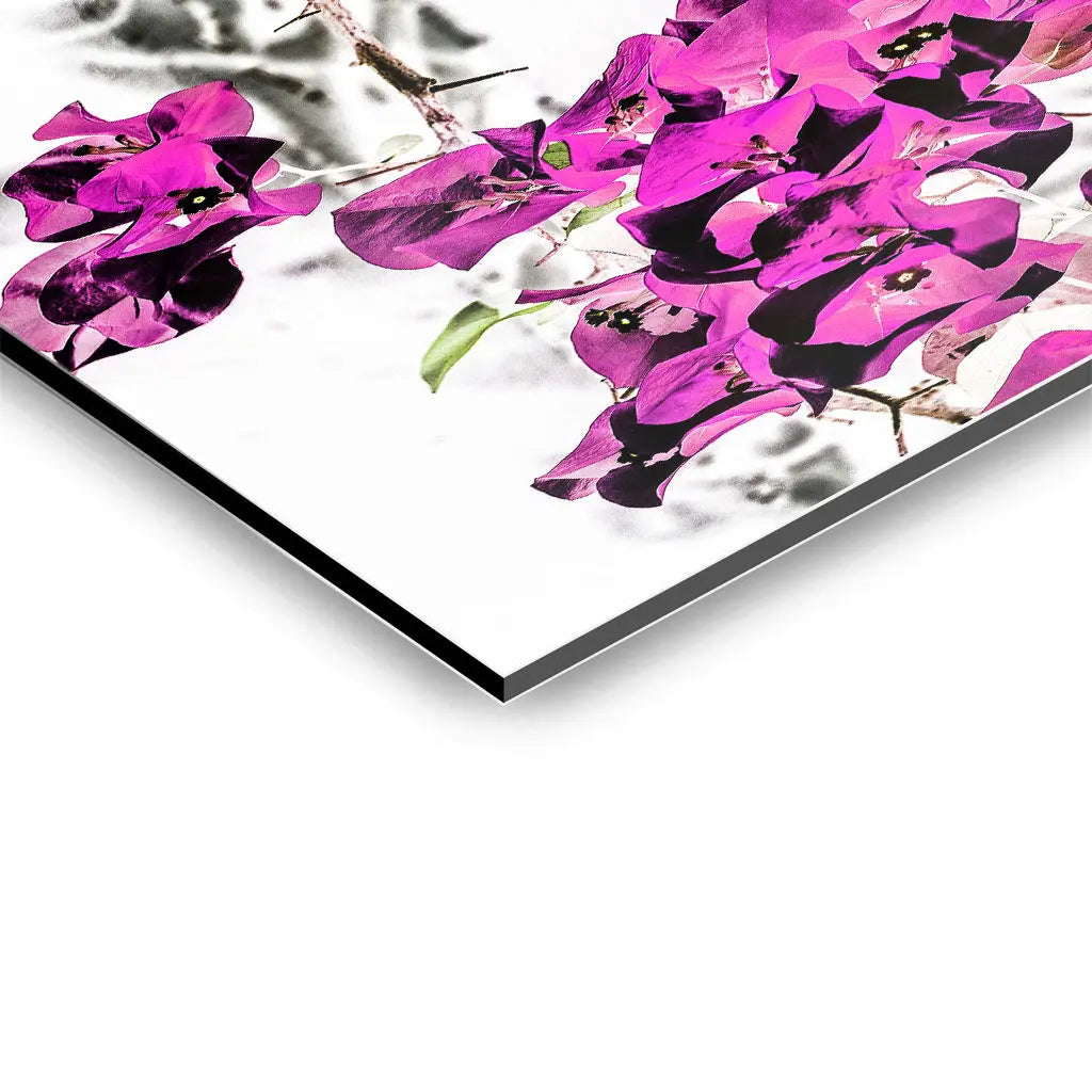 "VIBRANT PETAL DANCE"