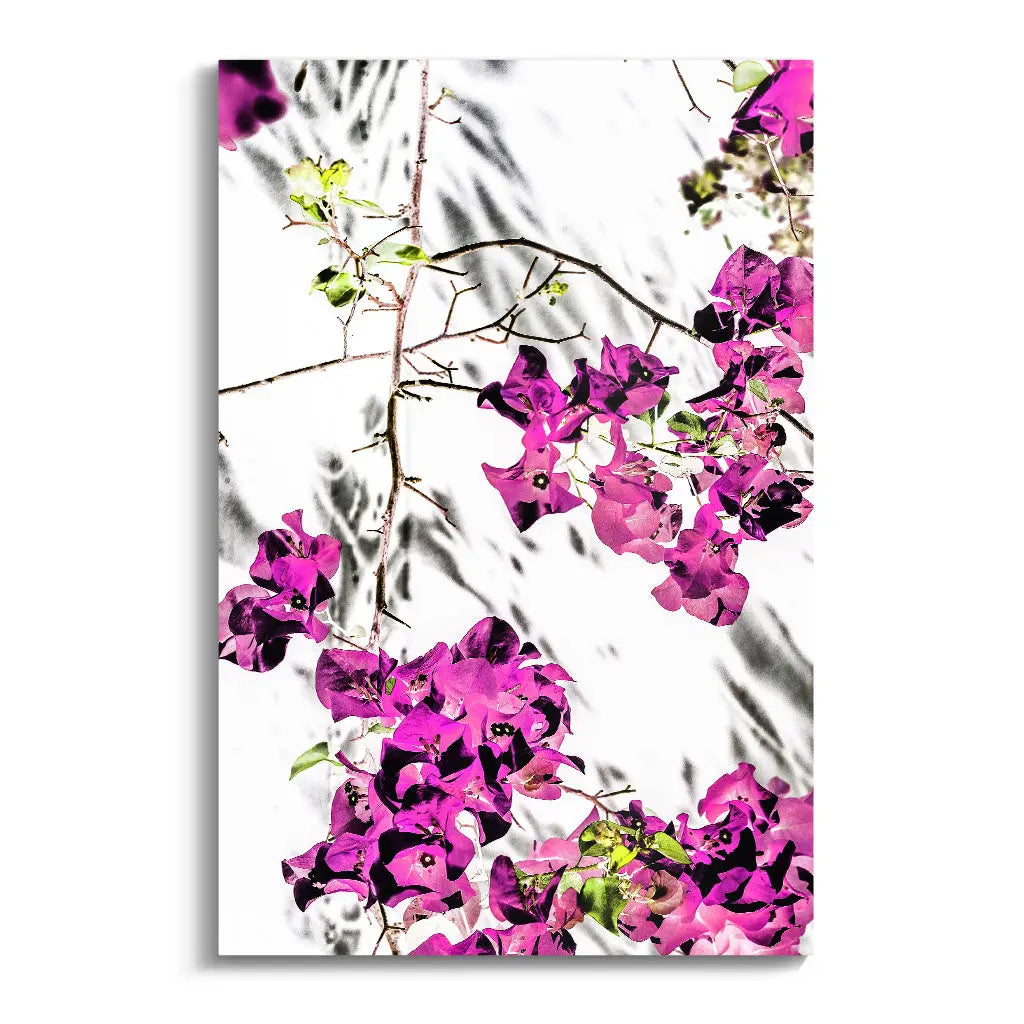 "VIBRANT PETAL DANCE"