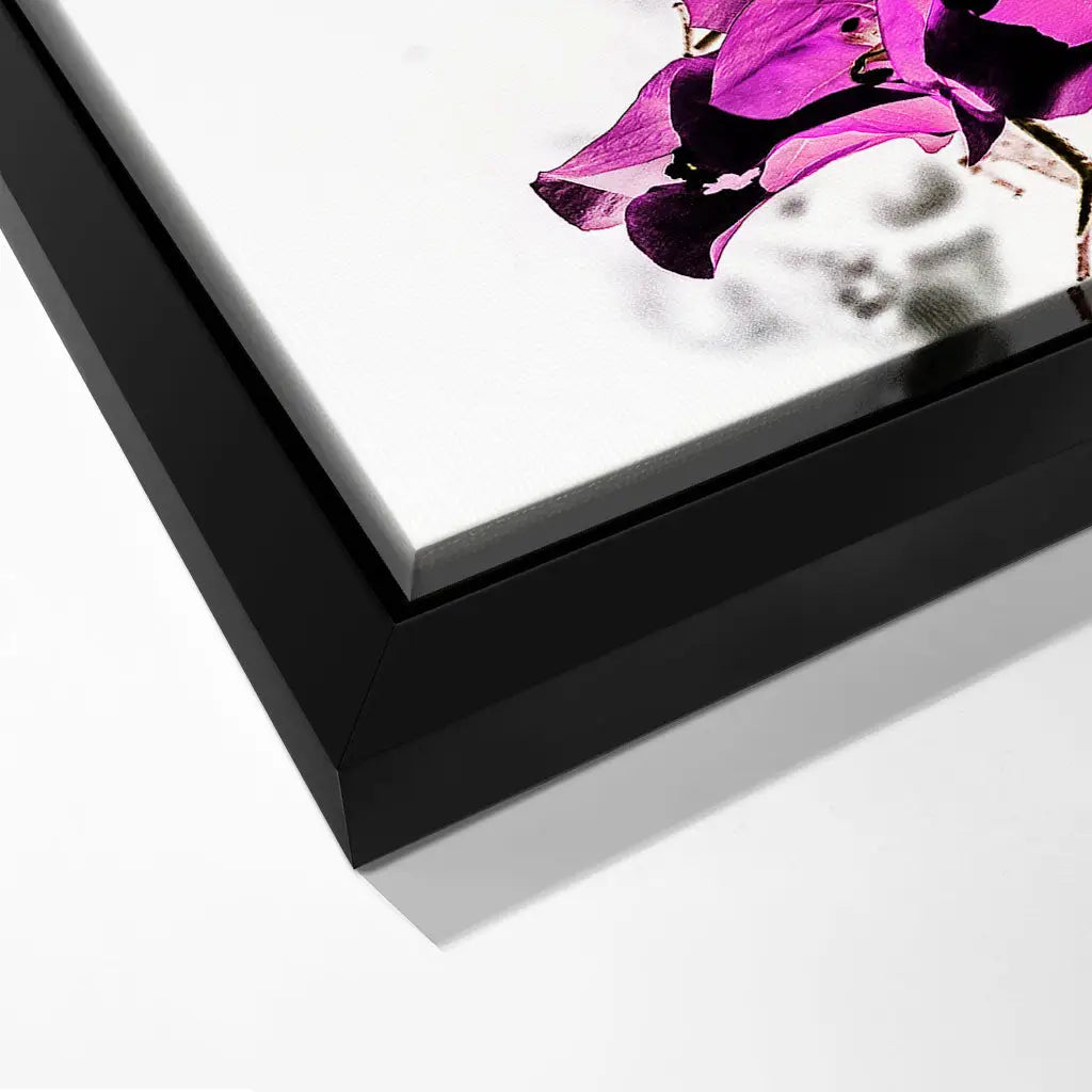 "VIBRANT PETAL DANCE"