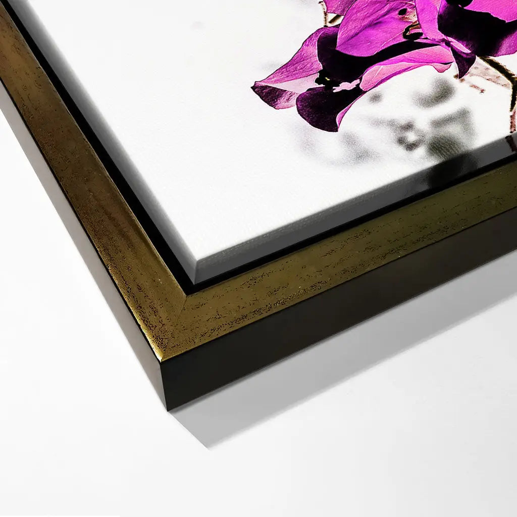 "VIBRANT PETAL DANCE"