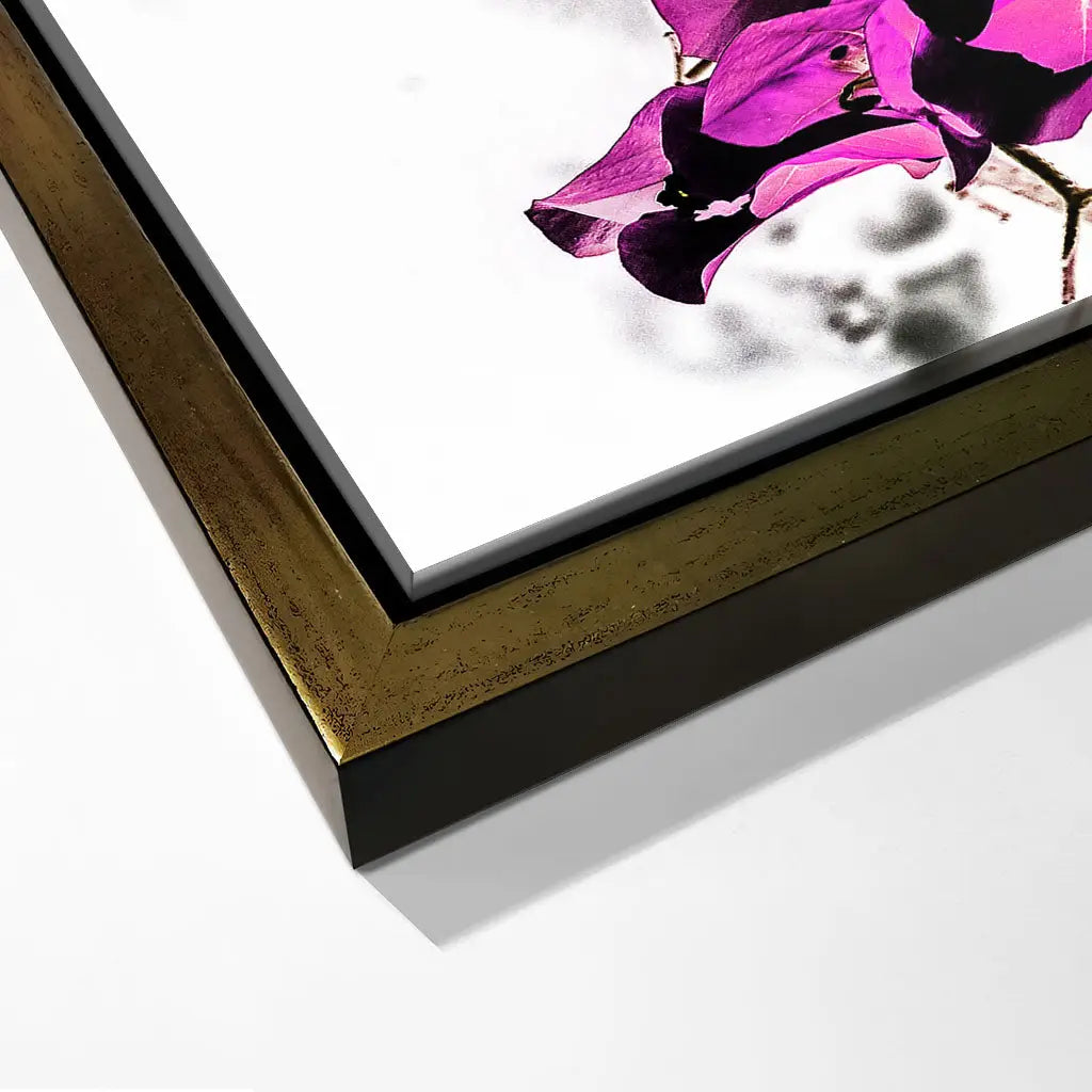 "VIBRANT PETAL DANCE"