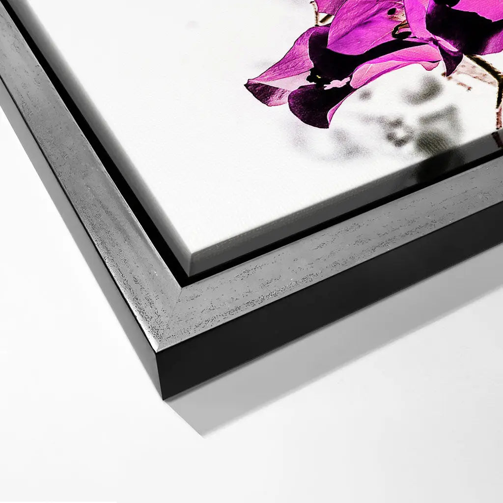 "VIBRANT PETAL DANCE"