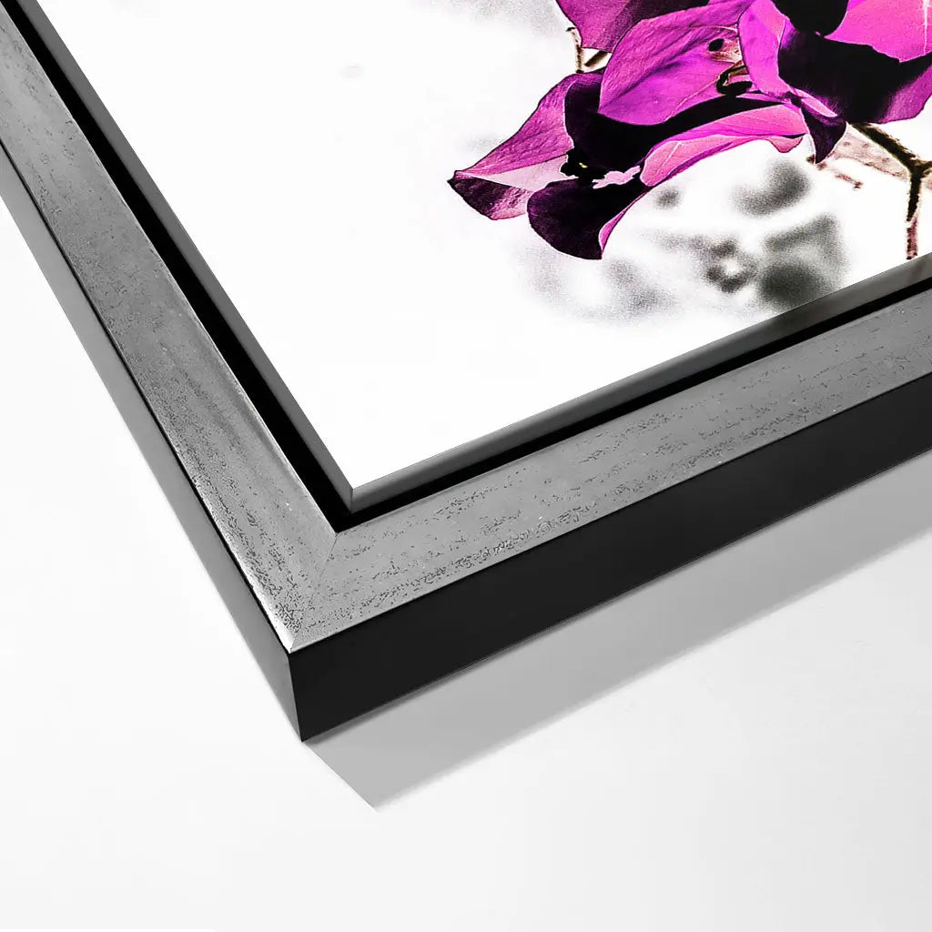 "VIBRANT PETAL DANCE"