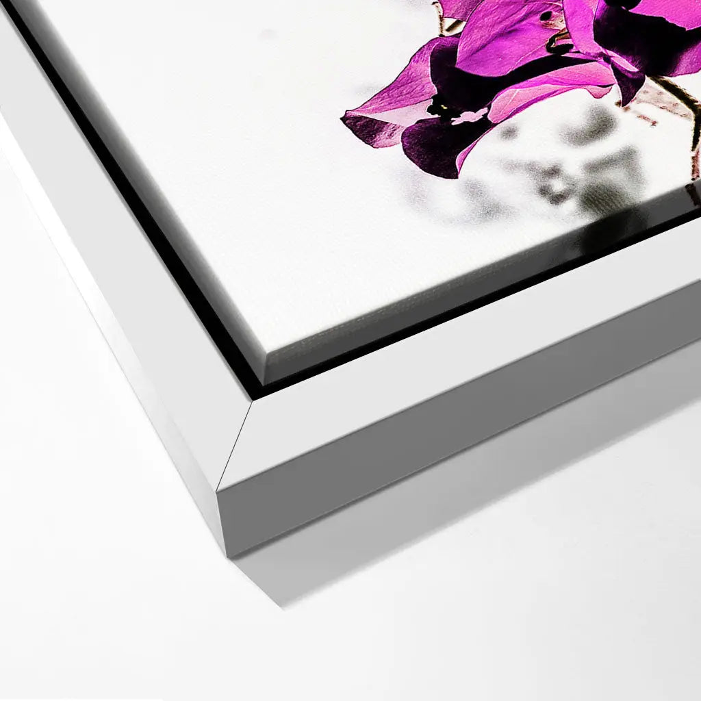 "VIBRANT PETAL DANCE"