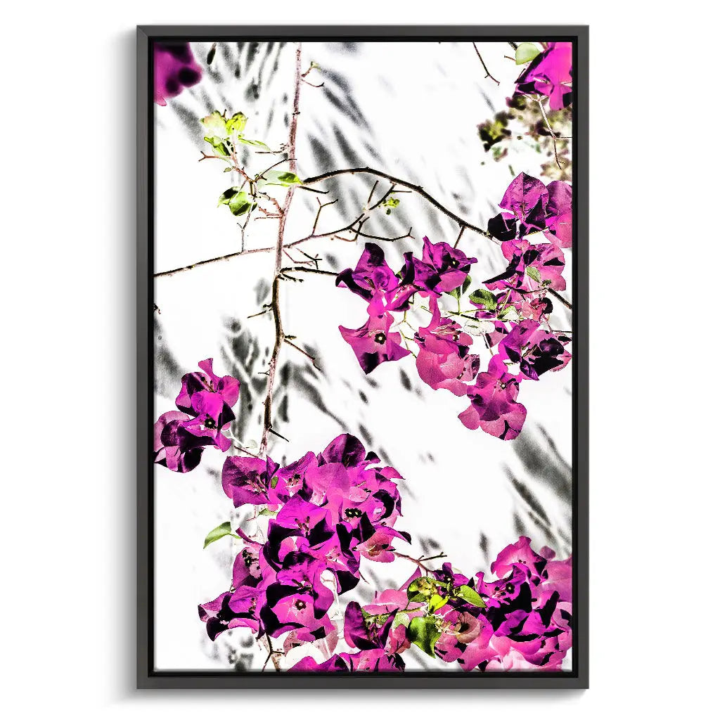 "VIBRANT PETAL DANCE"