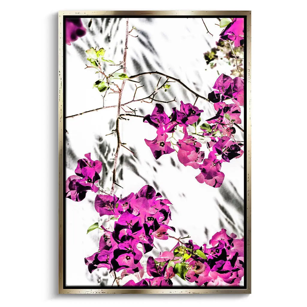 "VIBRANT PETAL DANCE"