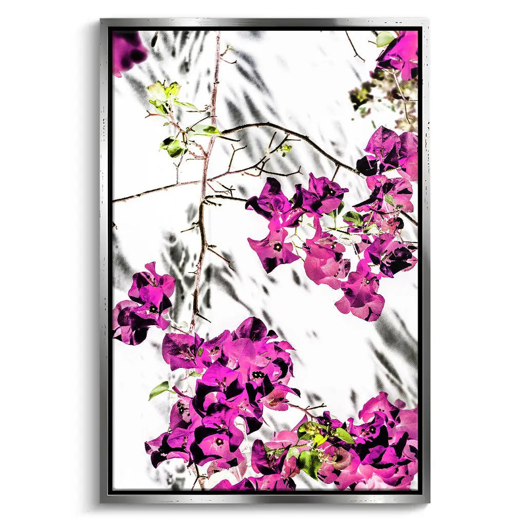 "VIBRANT PETAL DANCE"