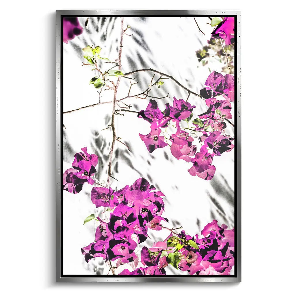 "VIBRANT PETAL DANCE"