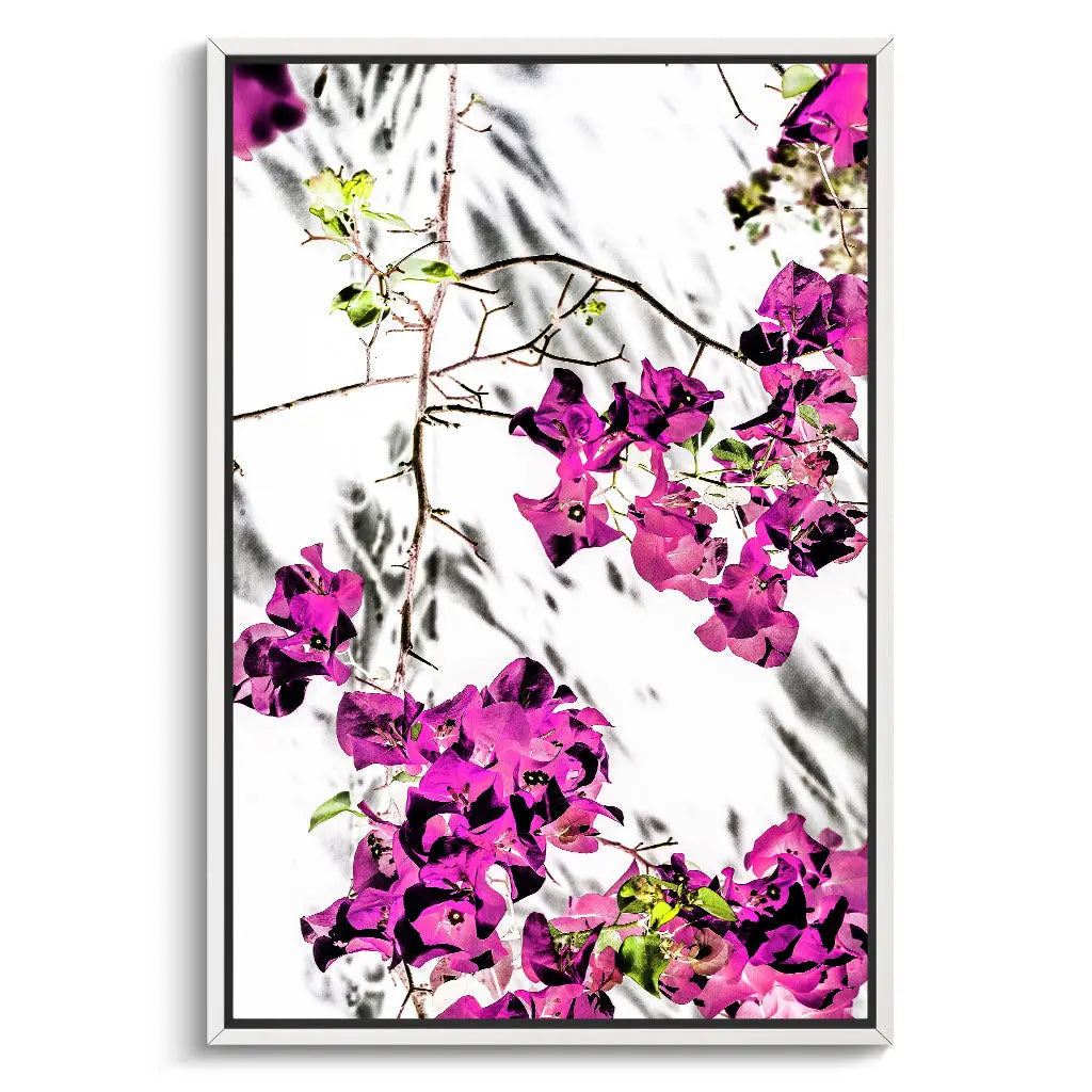 "VIBRANT PETAL DANCE"