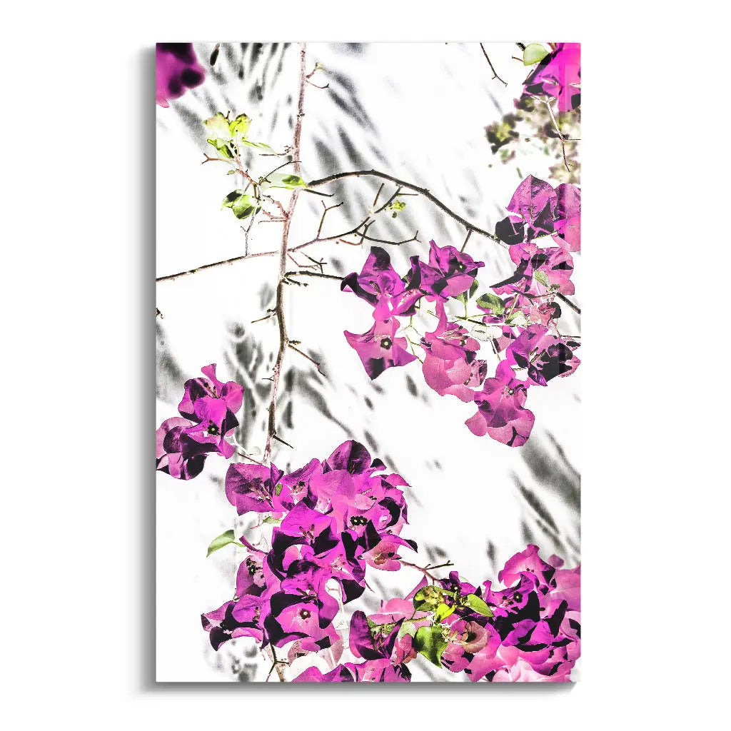 "VIBRANT PETAL DANCE"