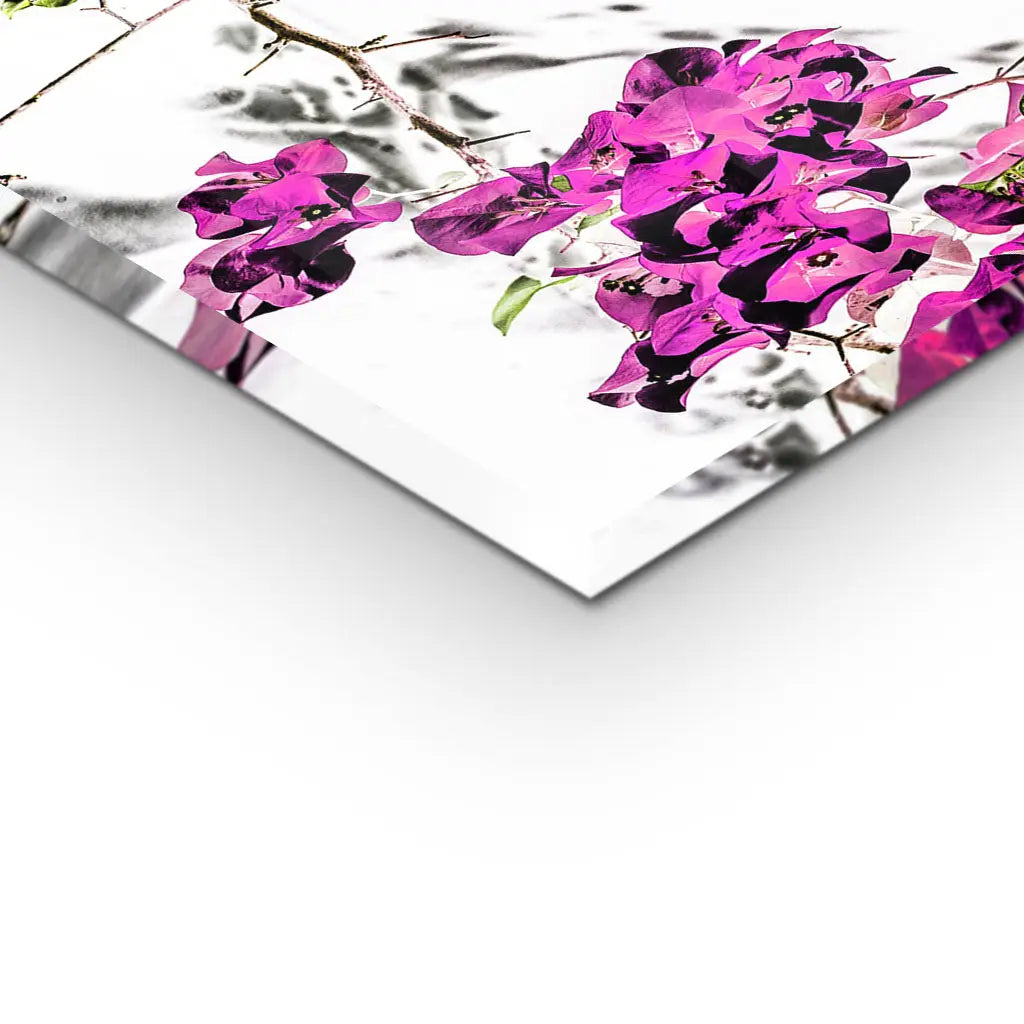 "VIBRANT PETAL DANCE"