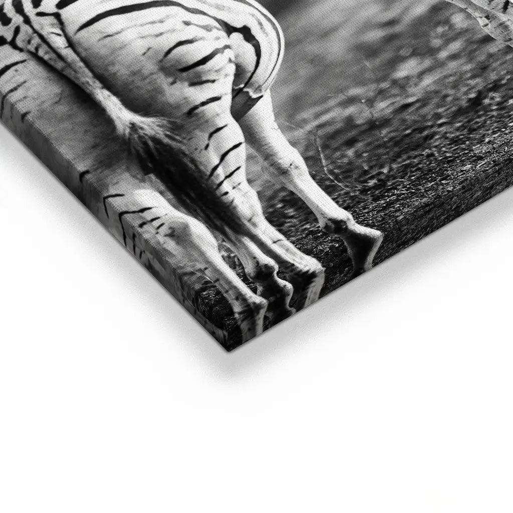 "STRIPED HORSE BACK SIDE"