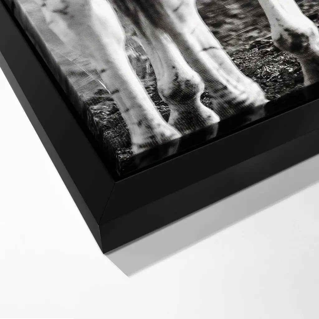 "STRIPED HORSE BACK SIDE"