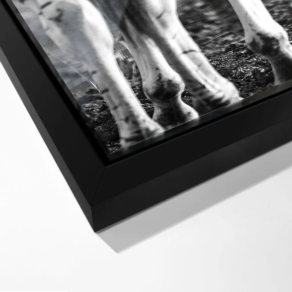 "STRIPED HORSE BACK SIDE"