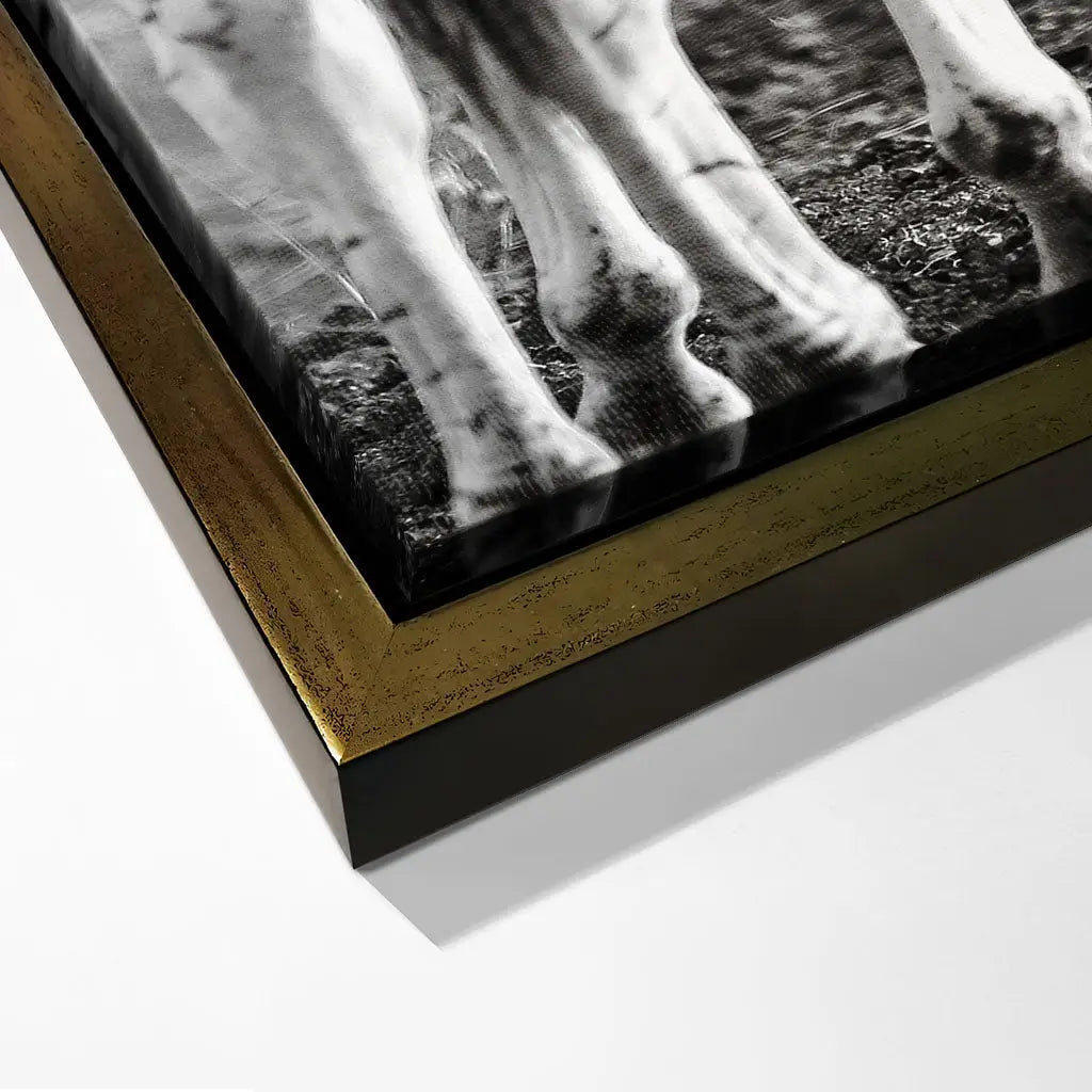 "STRIPED HORSE BACK SIDE"