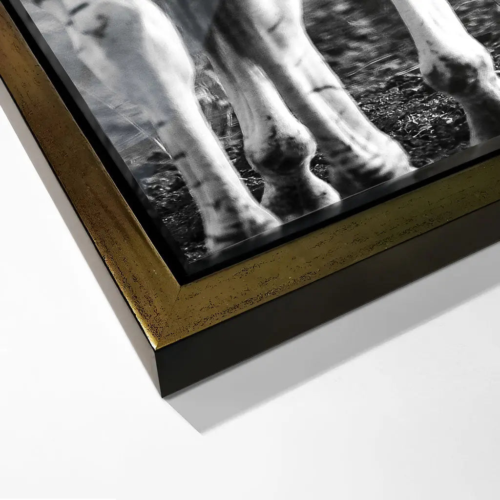 "STRIPED HORSE BACK SIDE"