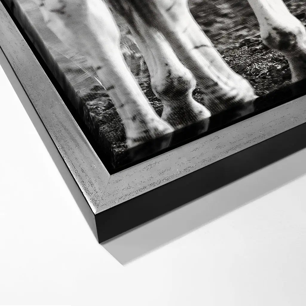 "STRIPED HORSE BACK SIDE"