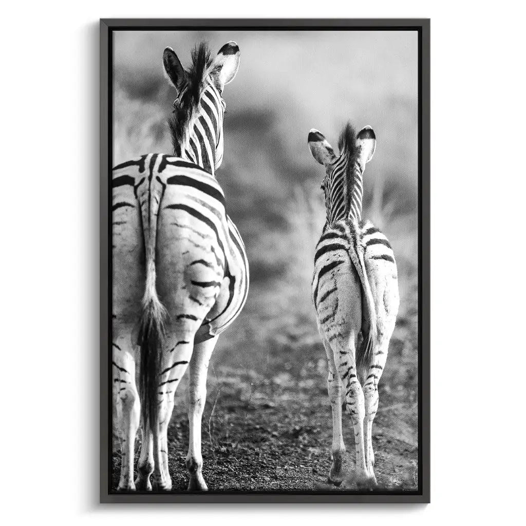 "STRIPED HORSE BACK SIDE"