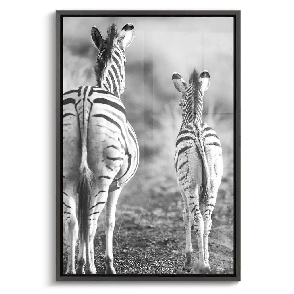 "STRIPED HORSE BACK SIDE"