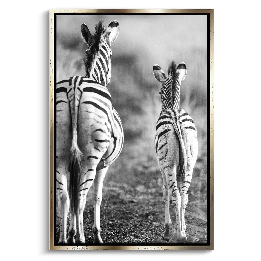 "STRIPED HORSE BACK SIDE"