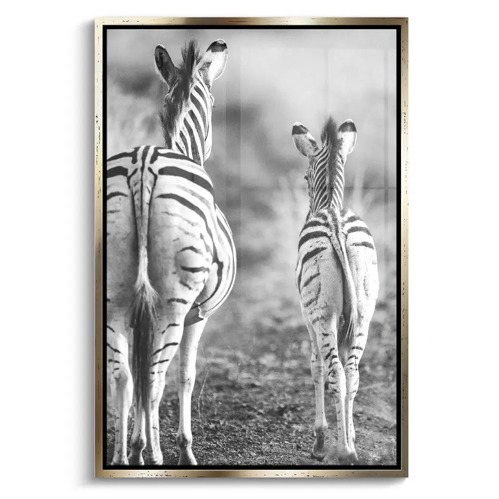 "STRIPED HORSE BACK SIDE"