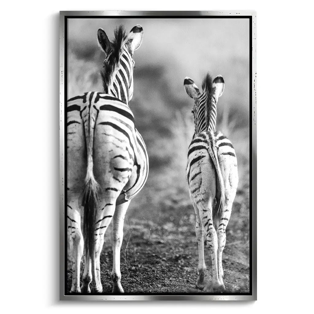 "STRIPED HORSE BACK SIDE"