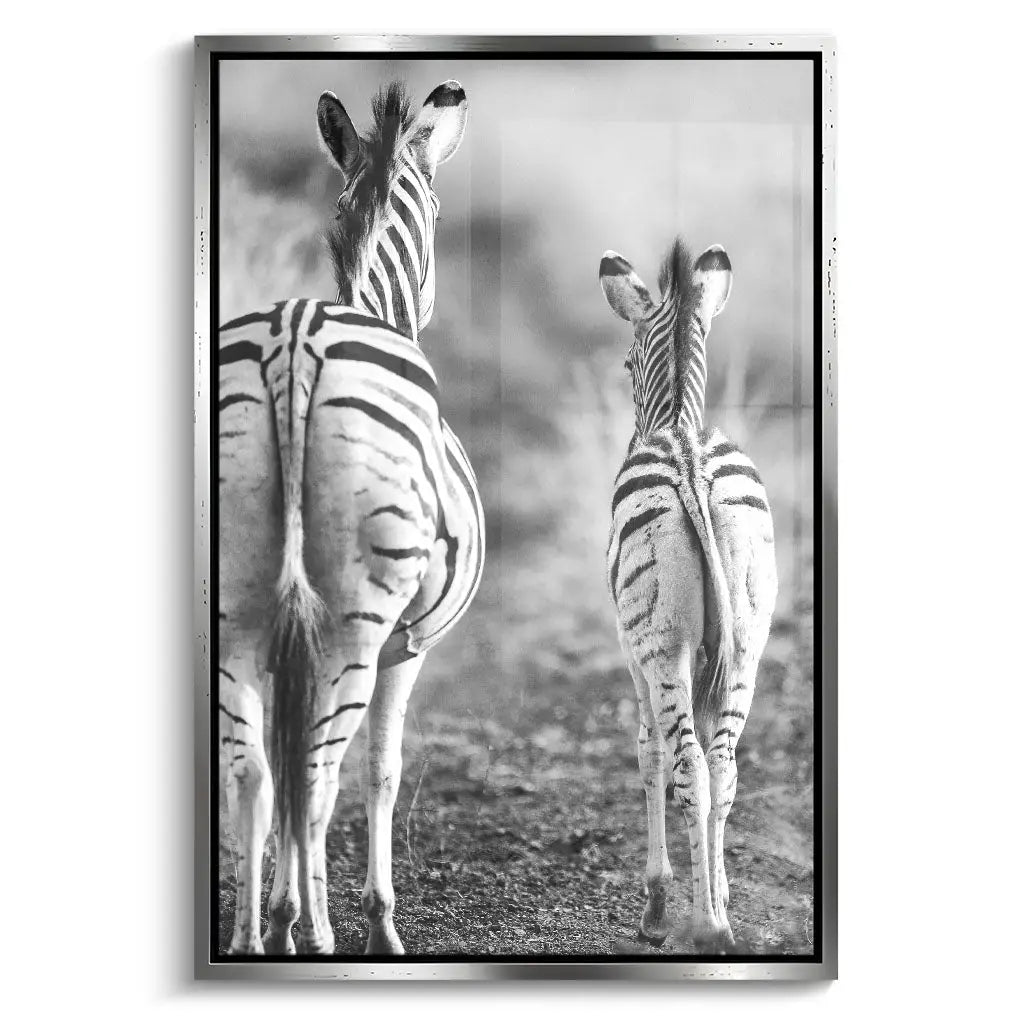 "STRIPED HORSE BACK SIDE"