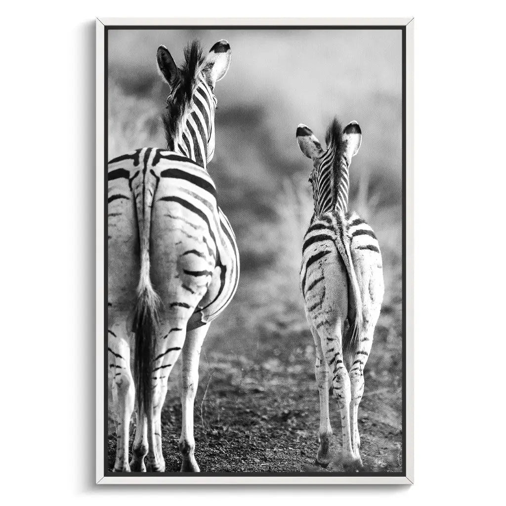 "STRIPED HORSE BACK SIDE"