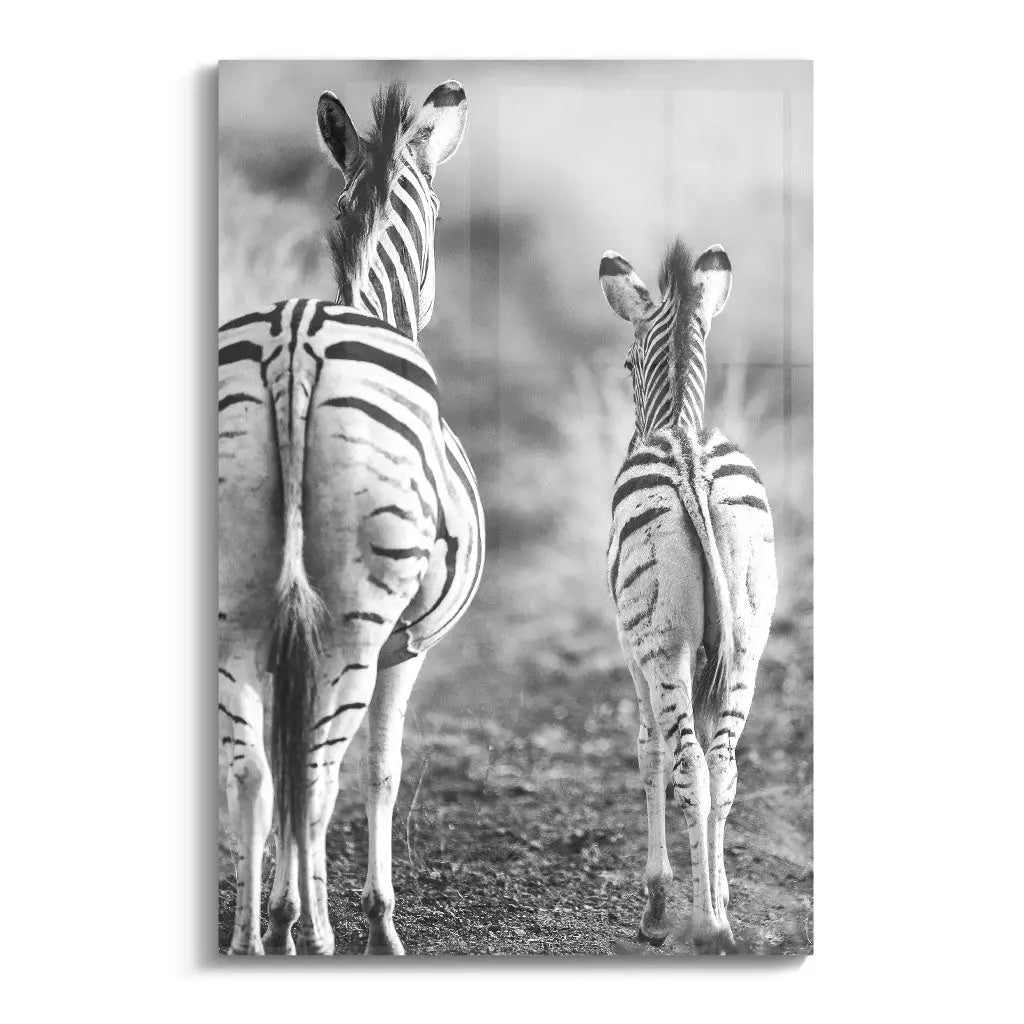 "STRIPED HORSE BACK SIDE"