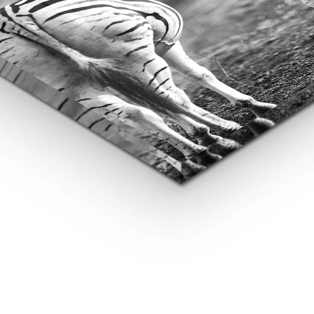 "STRIPED HORSE BACK SIDE"