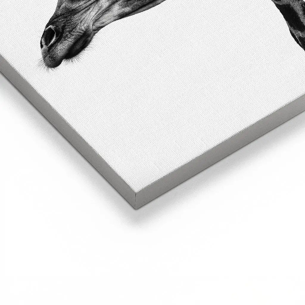 "INDICATE PATTERNS OF A GIRAFFE`S SKIN"