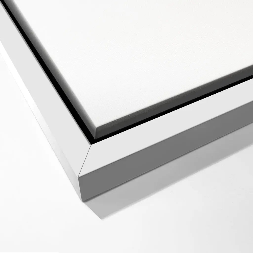 "INDICATE PATTERNS OF A GIRAFFE`S SKIN"