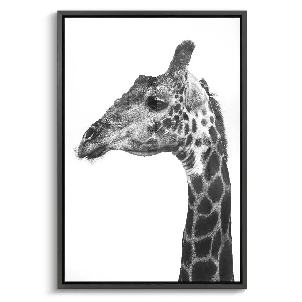 "INDICATE PATTERNS OF A GIRAFFE`S SKIN"