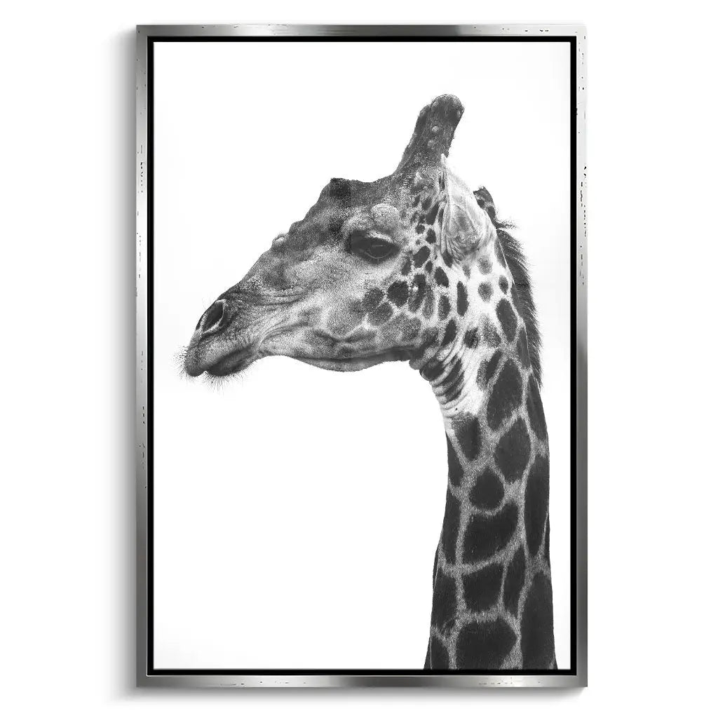 "INDICATE PATTERNS OF A GIRAFFE`S SKIN"