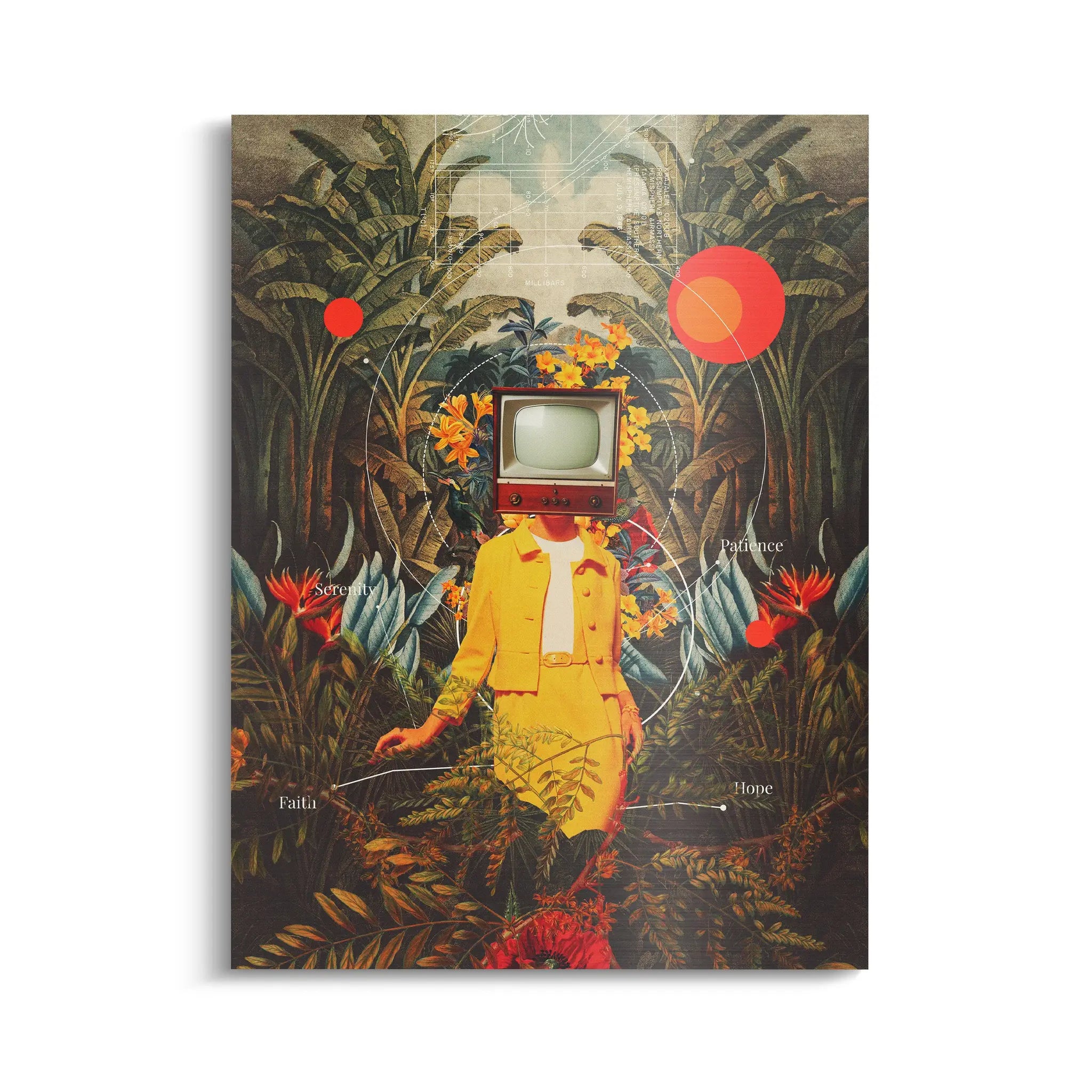 Canvarisma - "SHE CAME FROM THE WILDERNESS" -  Bild