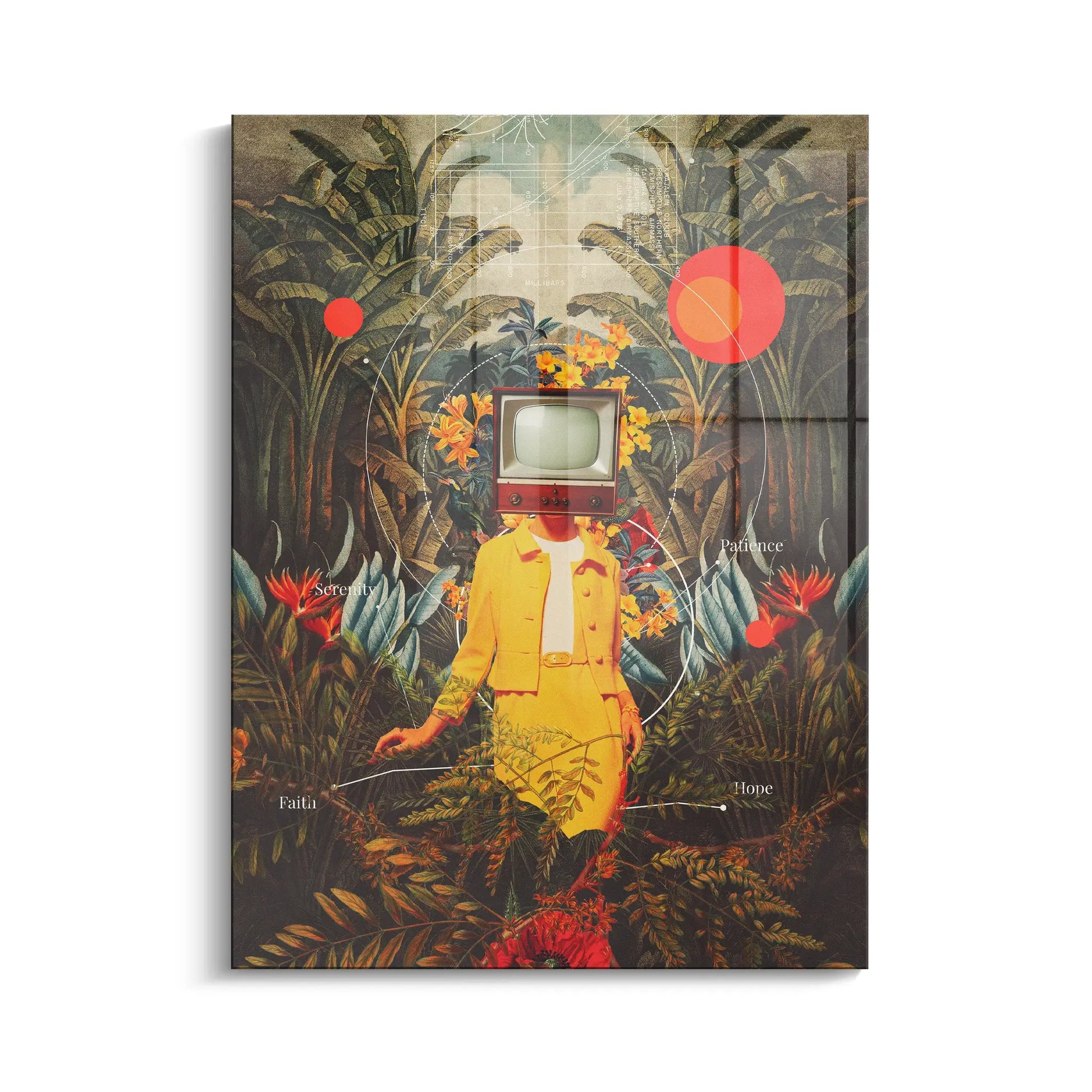 Canvarisma - "SHE CAME FROM THE WILDERNESS" -  Bild