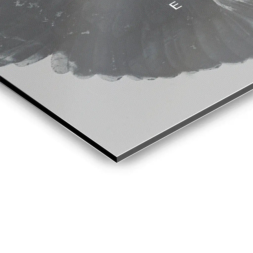 Canvarisma - "EXODUS" -  Bild