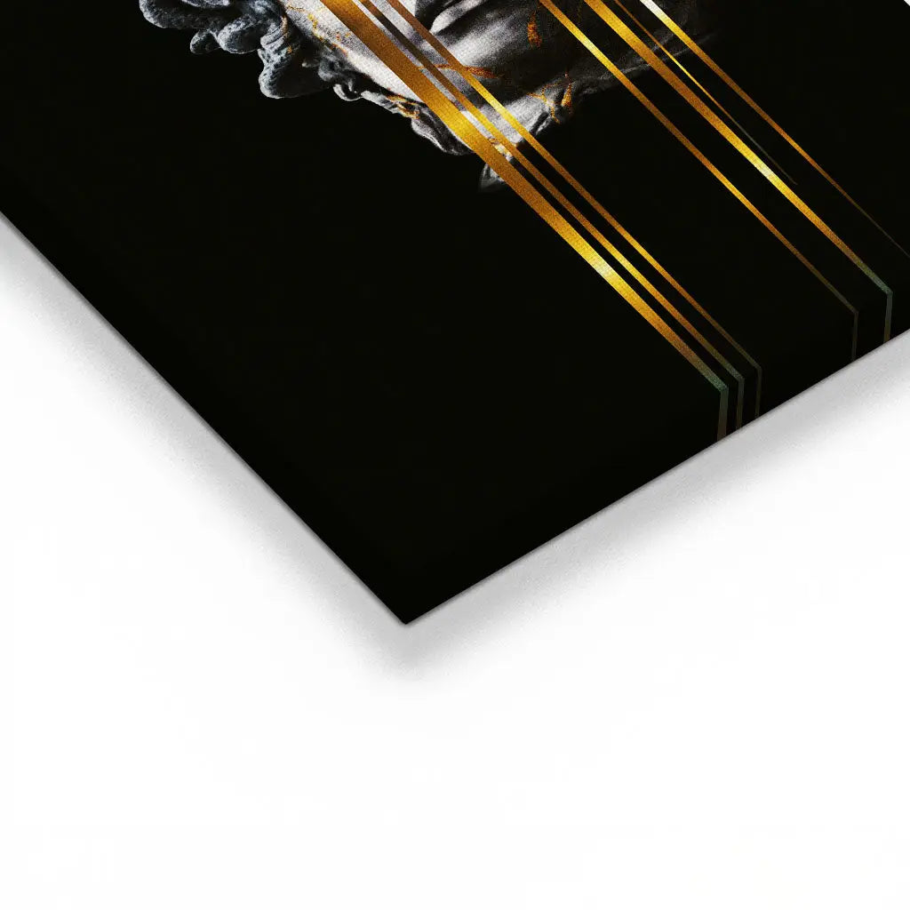 Canvarisma - "MDS" -  Bild