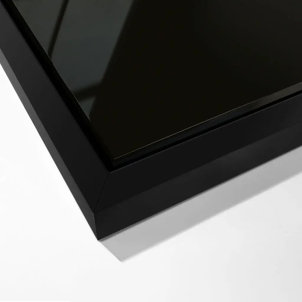 Canvarisma - "MDS" -  Bild