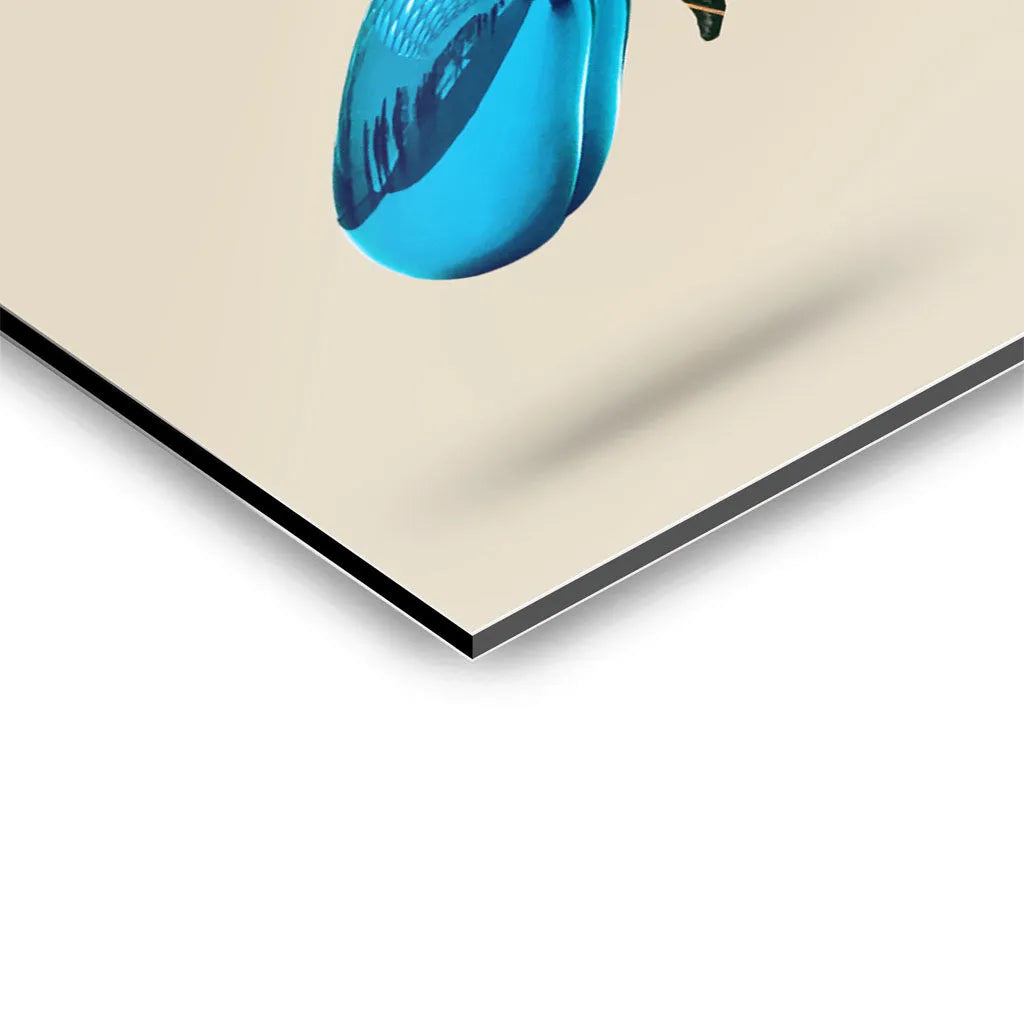 Canvarisma - "FAKE CONQUEROR" -  Bild