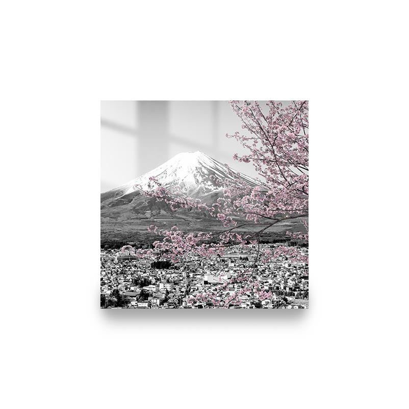 "MOUNT FUJI CHERRY BLOSSOM"