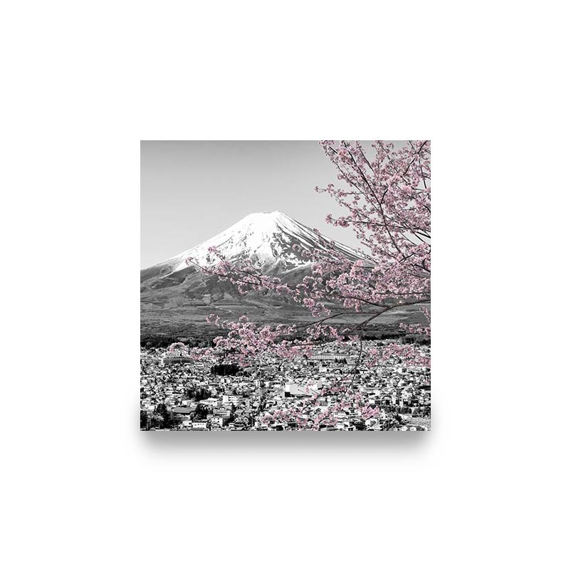 "MOUNT FUJI CHERRY BLOSSOM"