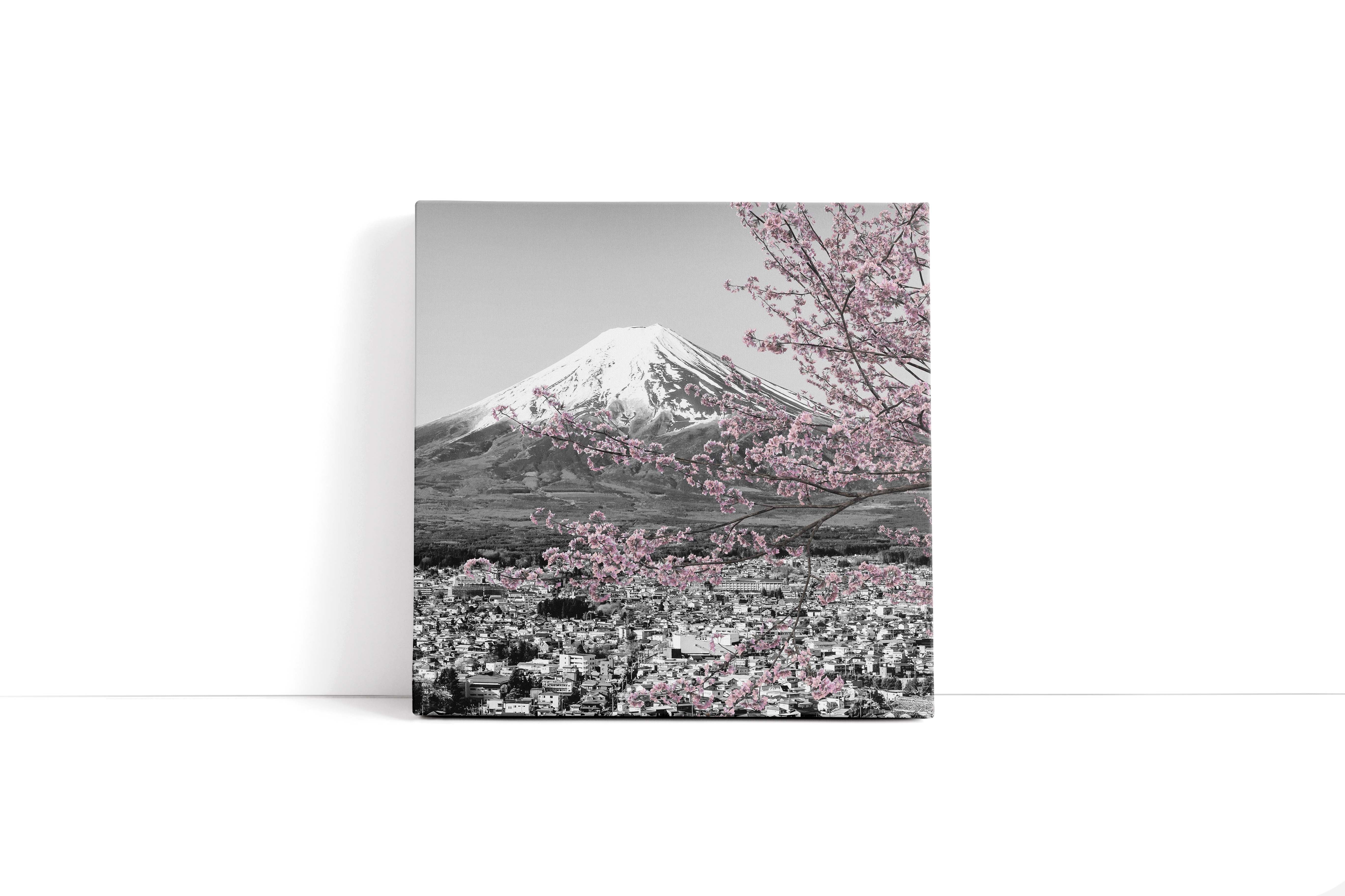 "MOUNT FUJI CHERRY BLOSSOM"