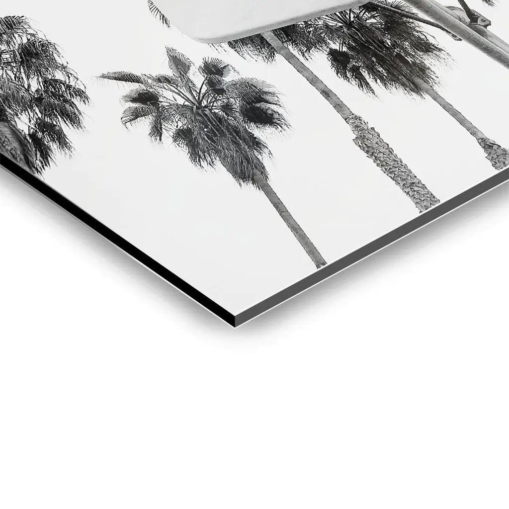 Canvarisma - "BASKETBALL" -  Bild