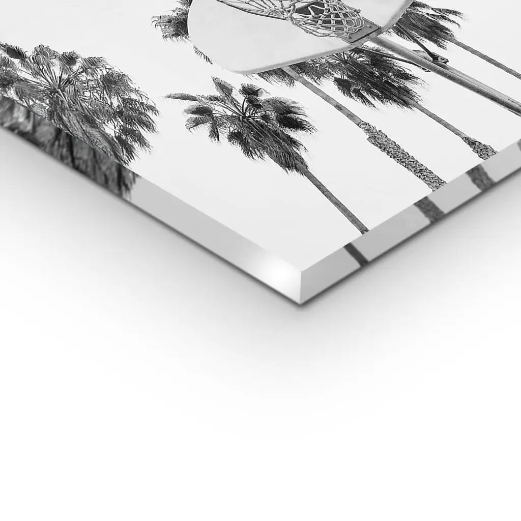 Canvarisma - "BASKETBALL" -  Bild