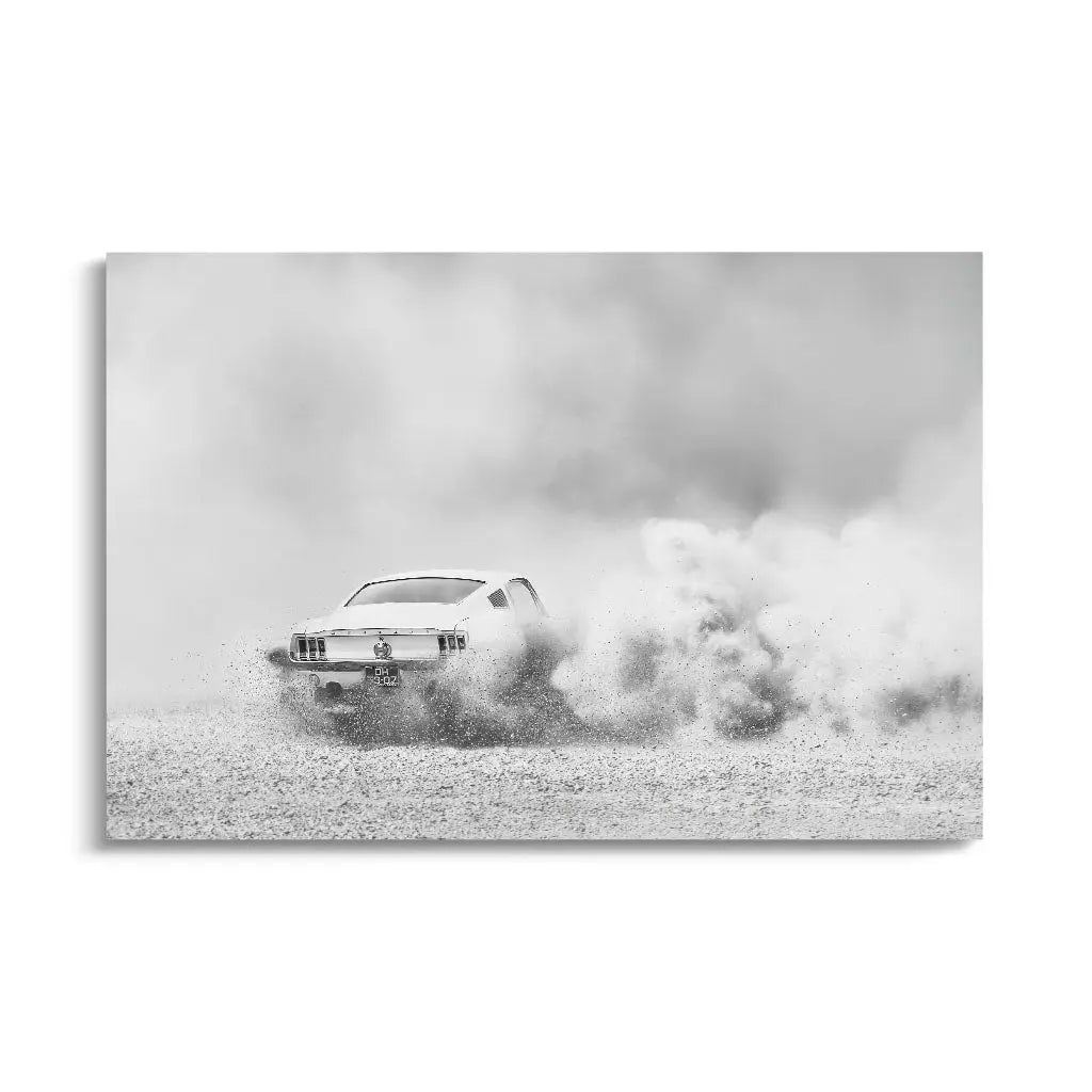 Canvarisma - "DRIFT" -  Bild