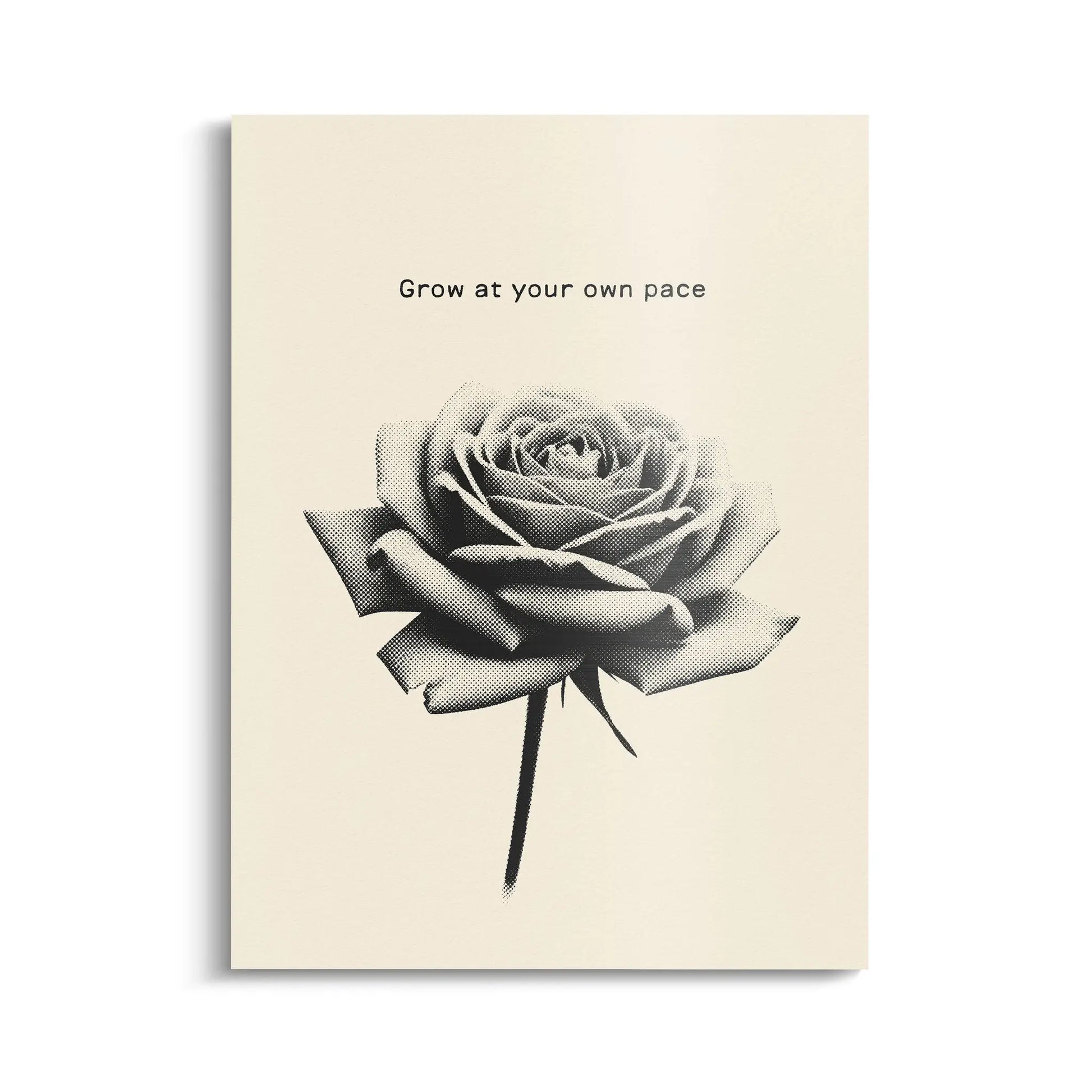 Canvarisma - "GROW AT YOUR OWN PACE" -  Bild