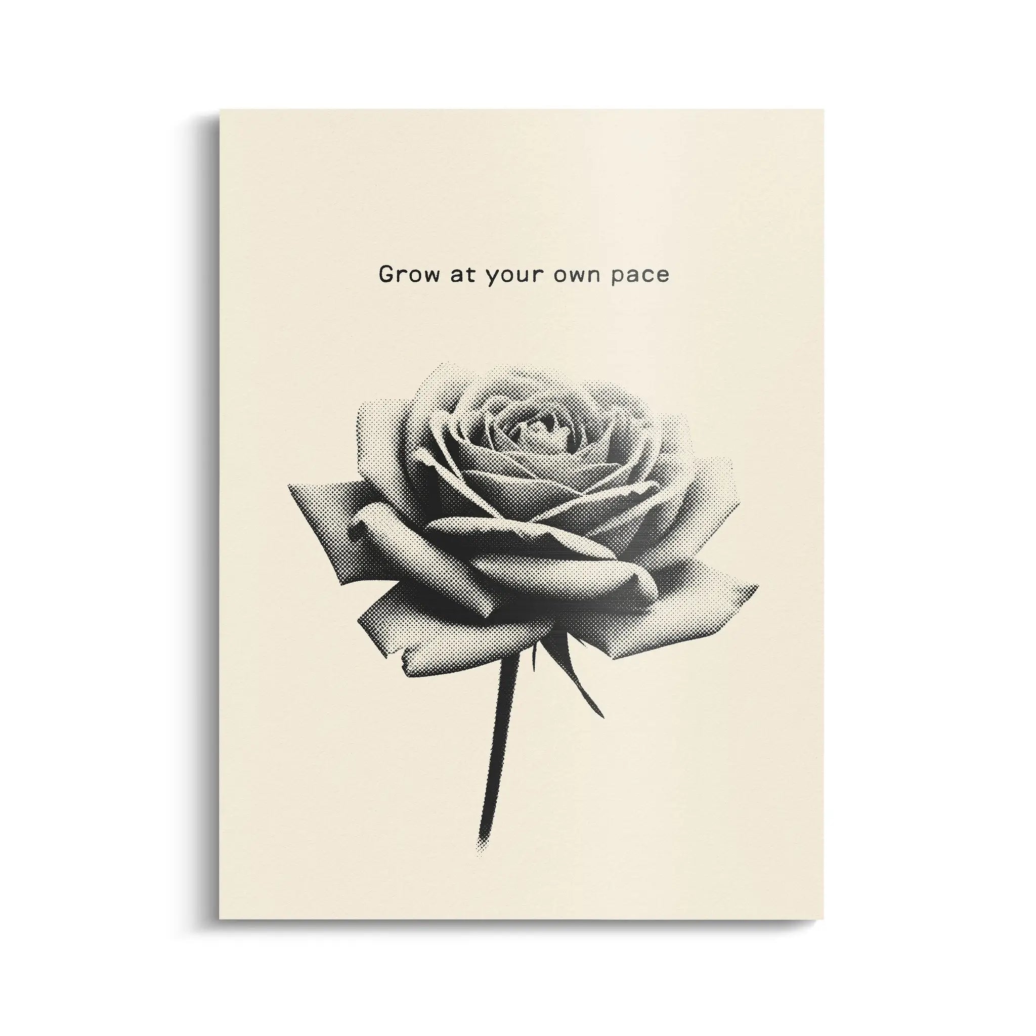 Canvarisma - "GROW AT YOUR OWN PACE" -  Bild